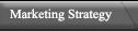 Marketing Strategy